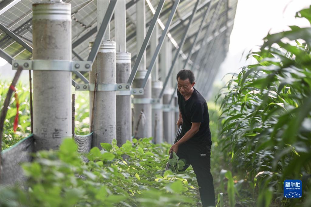 必富娱乐lgpt游戏